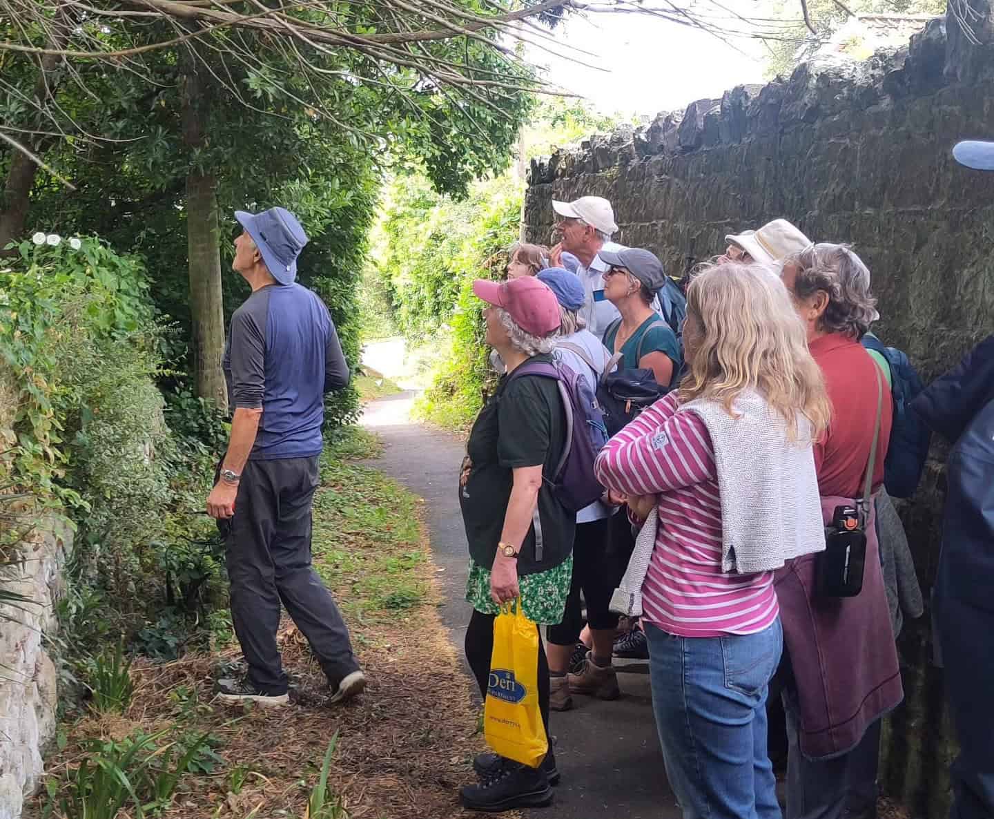 Group of people looking up into a tree