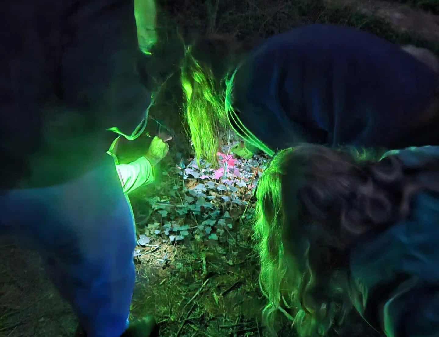 People taking part in UV light exploration at night in the woodland