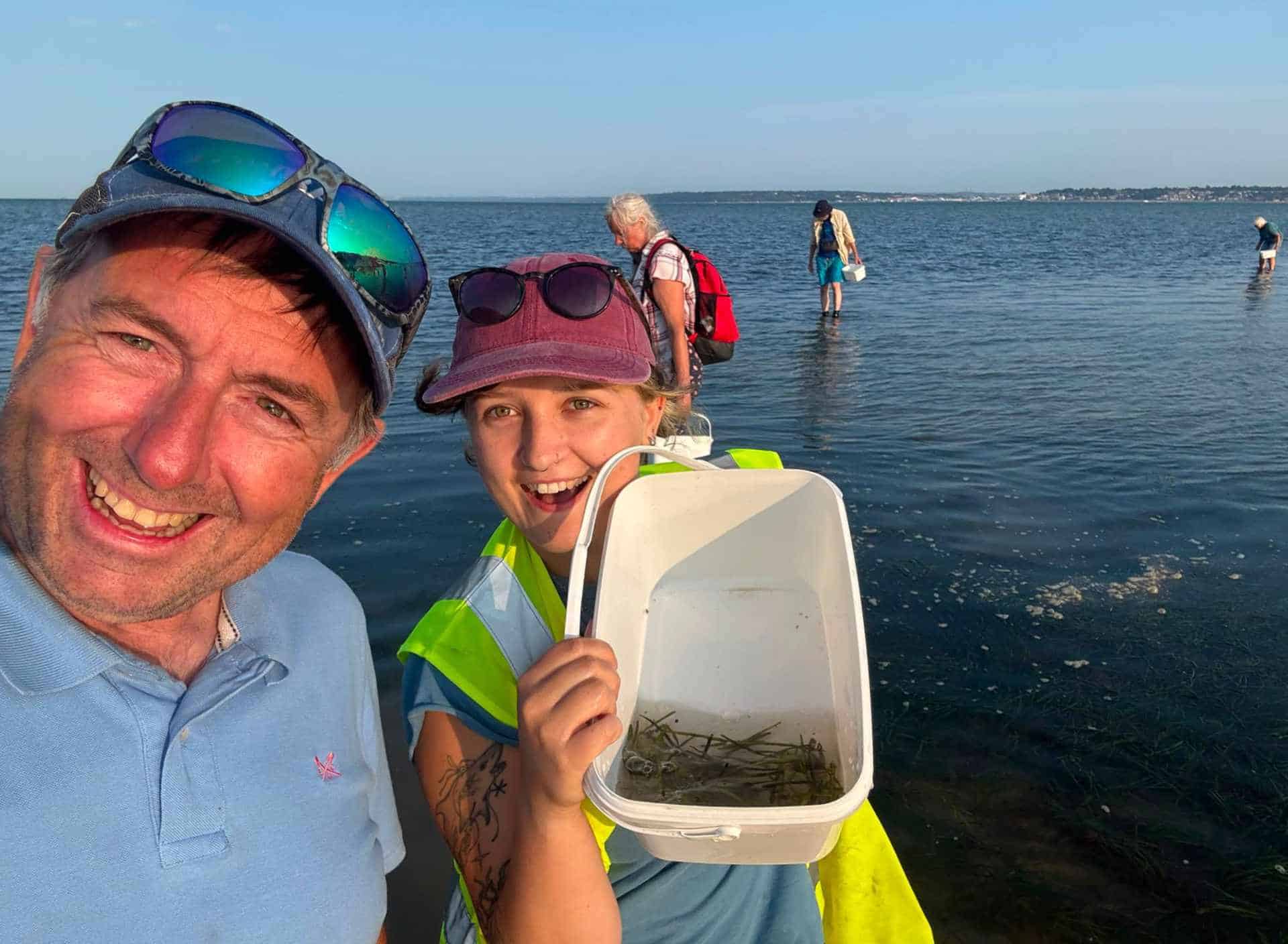 Volunteers collecting seagrass seeds at Seaview,