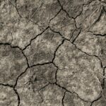 cracked dry earth