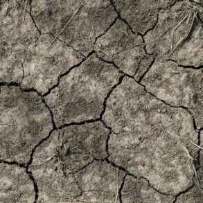 cracked dry earth