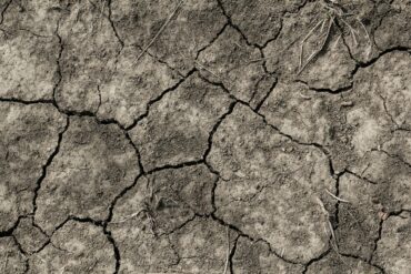 cracked dry earth