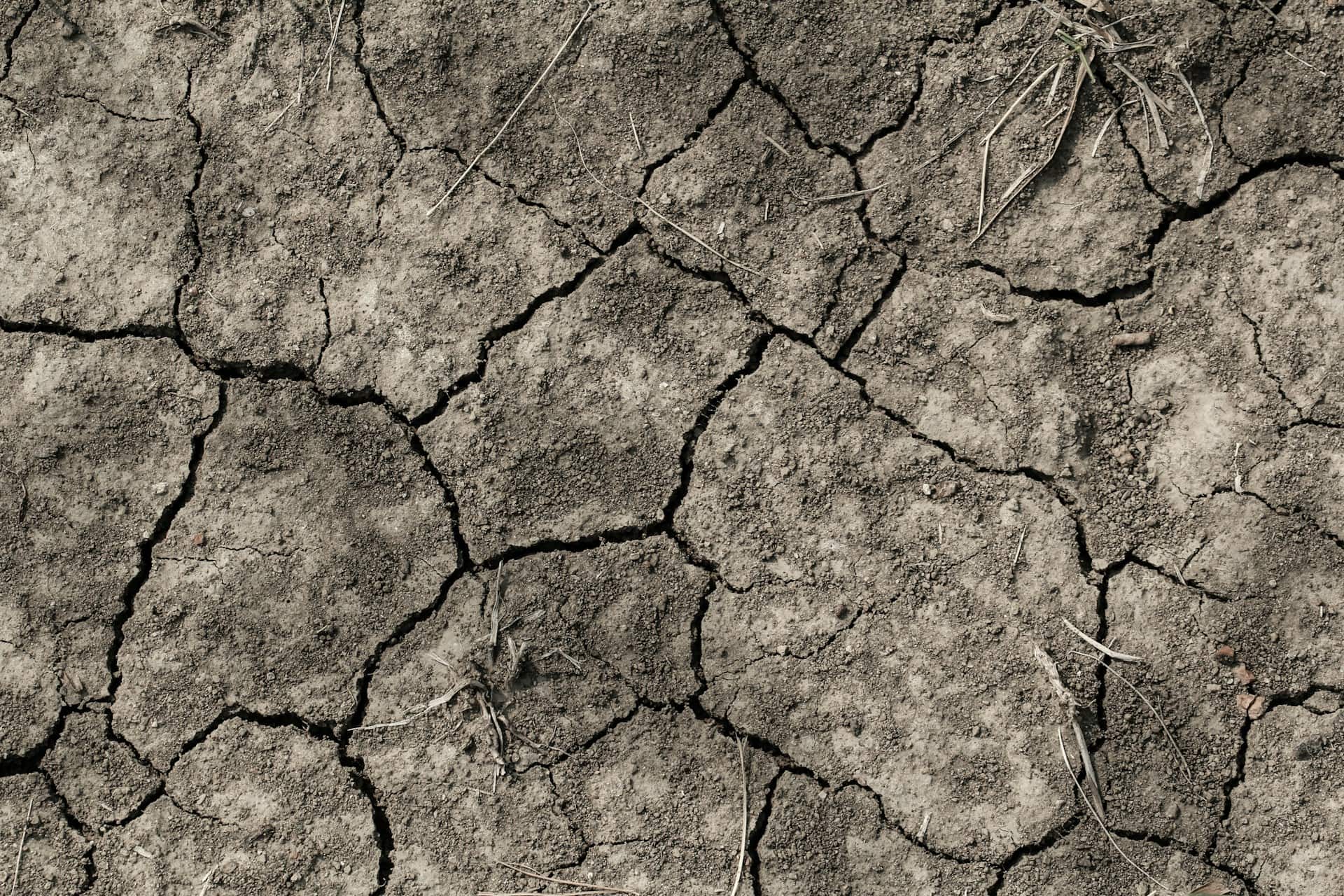 cracked dry earth