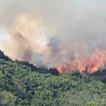Large Fire at Headon Warren