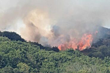 Large Fire at Headon Warren