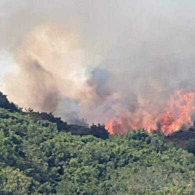 Large Fire at Headon Warren
