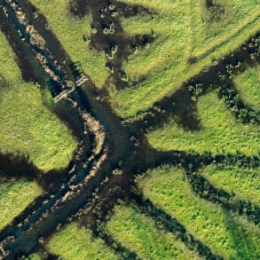 aerial view of floodplain habitat along Solent coast