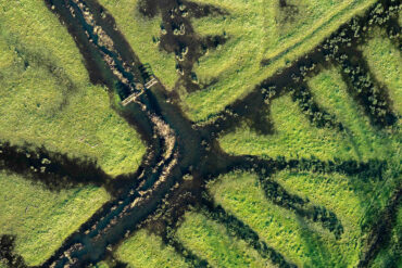 aerial view of floodplain habitat along Solent coast