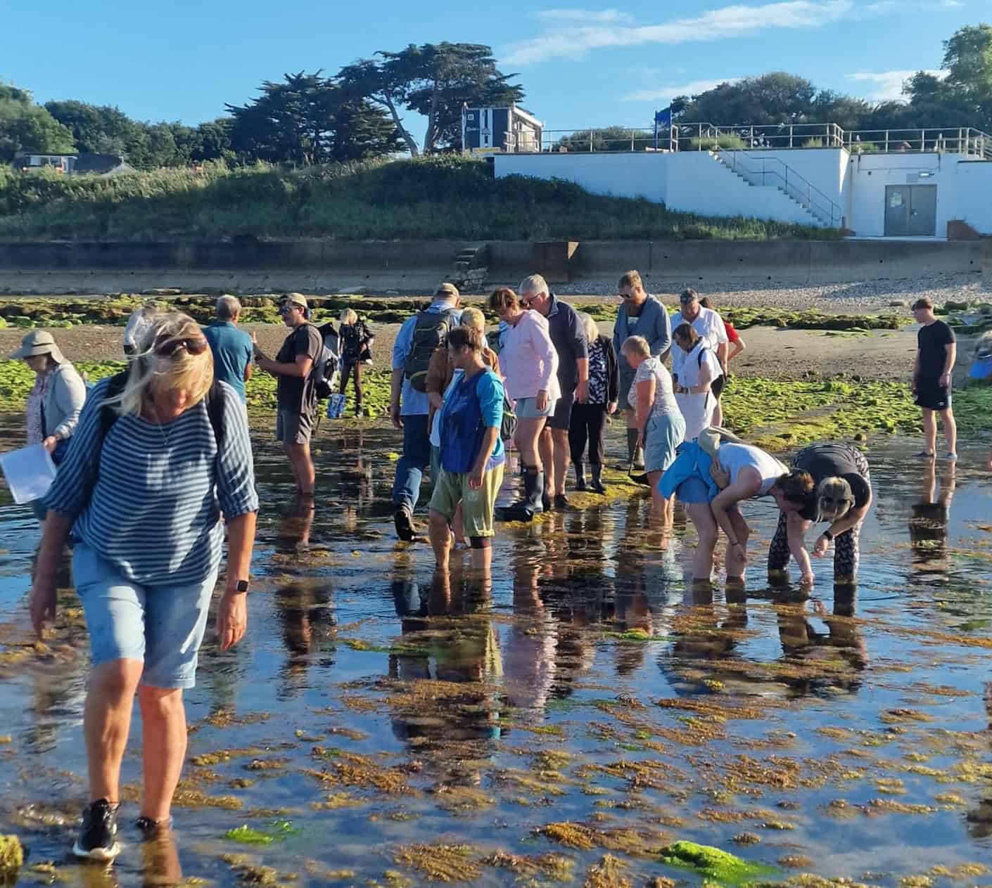 Large group of people rockpooling