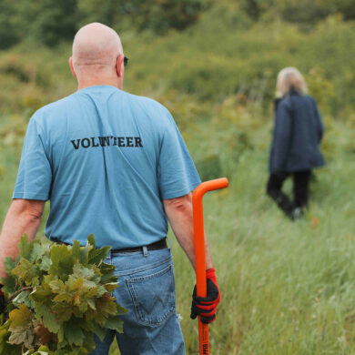 volunteers on isle of wight nature reserve