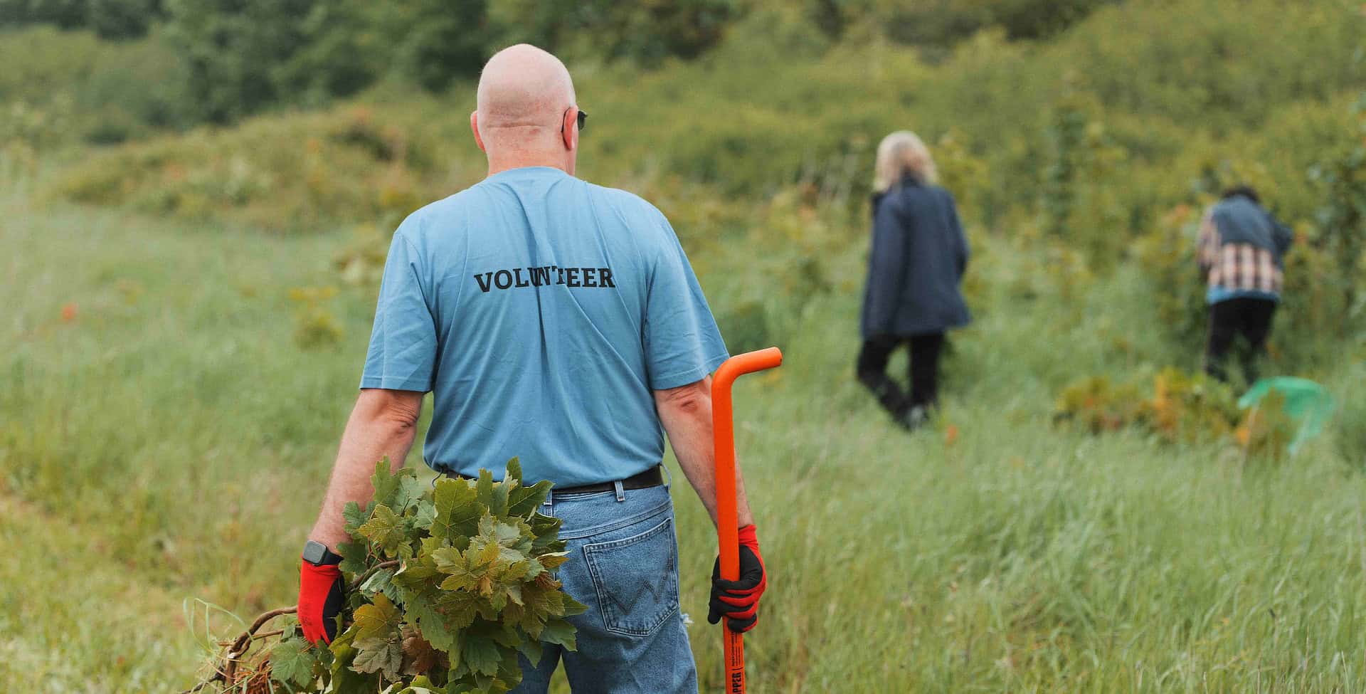 volunteers on isle of wight nature reserve