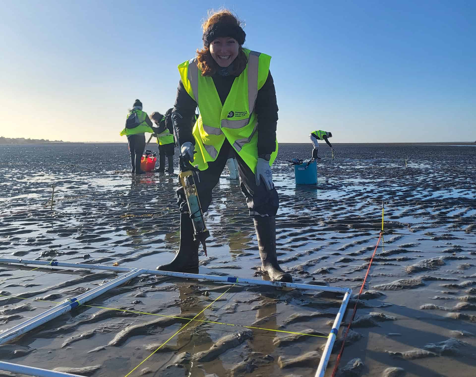 volunteer planting seagrass seed at Seaview