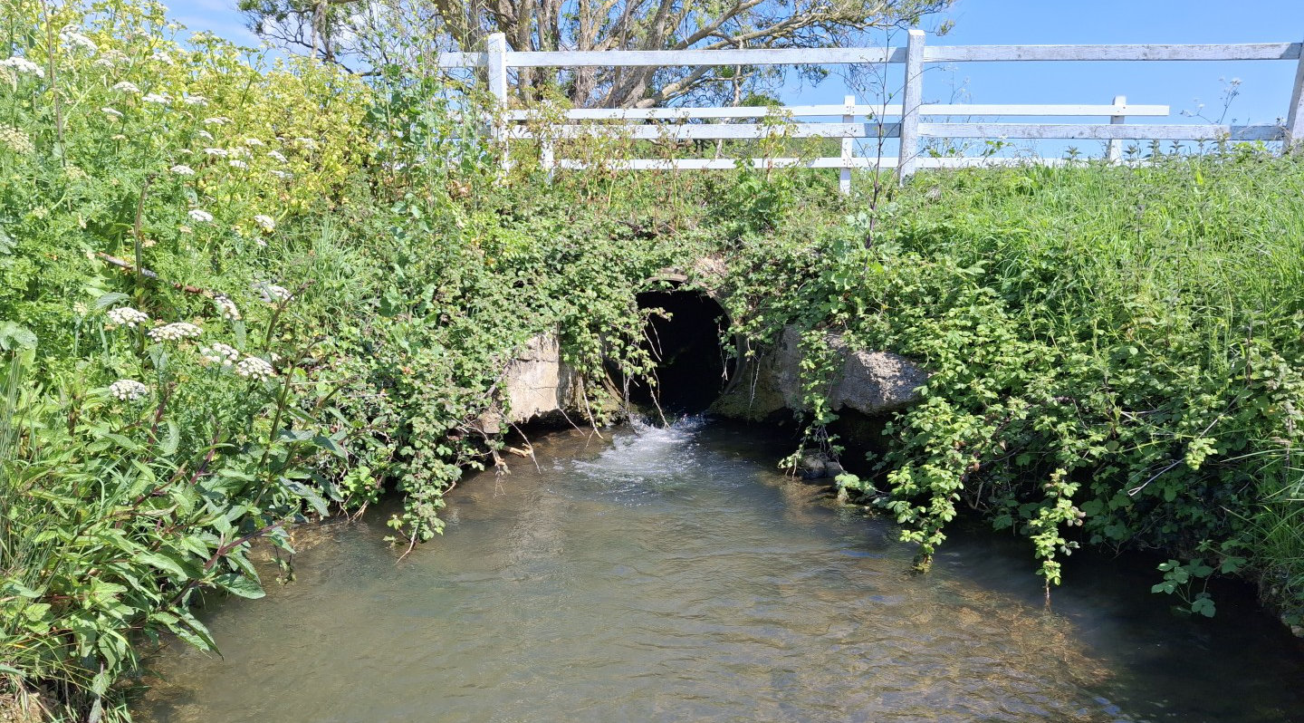 Muggleton Bridge before the work with overgrown vegetation