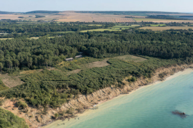 Bouldnor Forest from the air