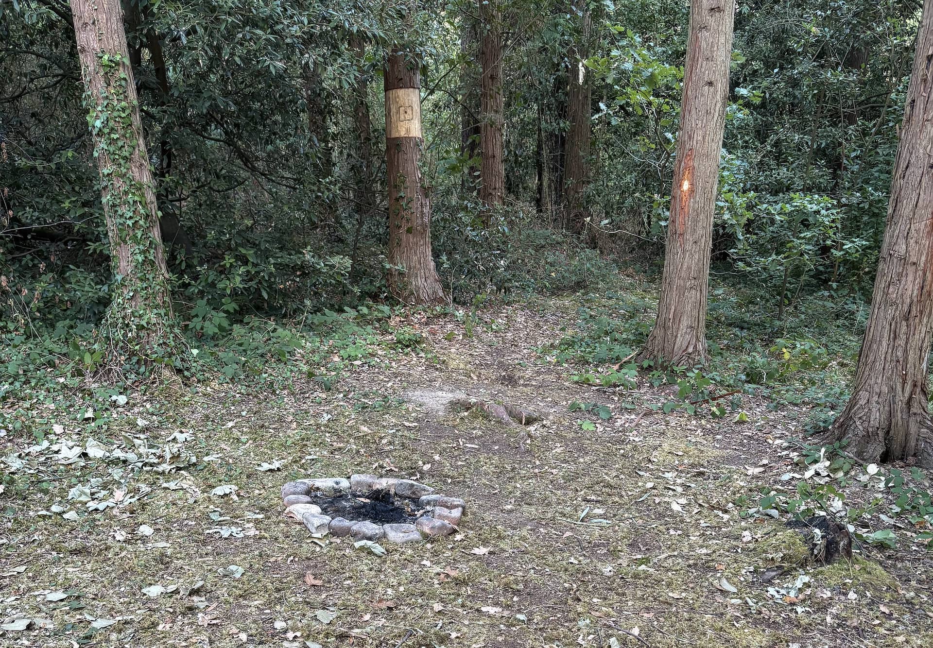 campfire in bouldnor forest