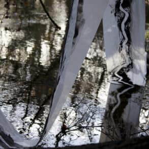 Painted fabric draping into a pond