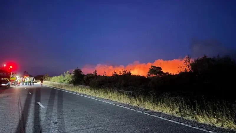 New Forest heathland fire by fire service
