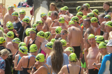 Pier 2 Pier swimmers 2026