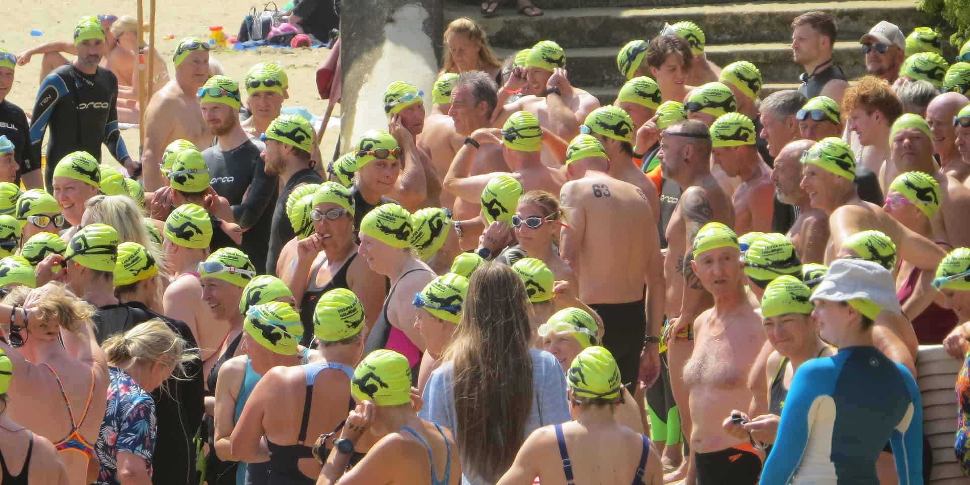 Pier 2 Pier swimmers 2026