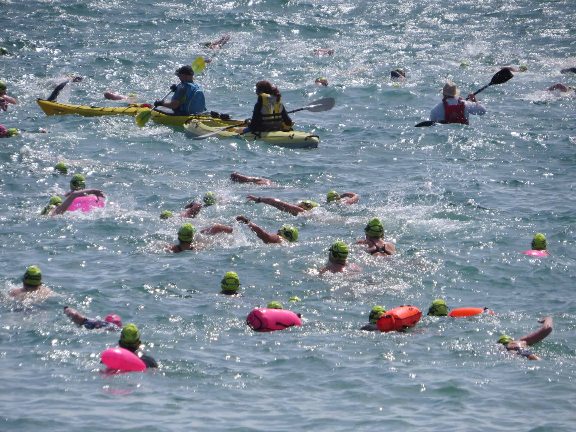 Pier 2 Pier swimmers in the sea 2026