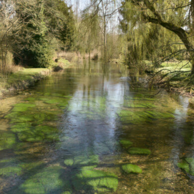Clear water in the river test, hampshire