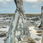 Sandown Siren', a marine sculpture concept by artist Jason de Caires Taylor