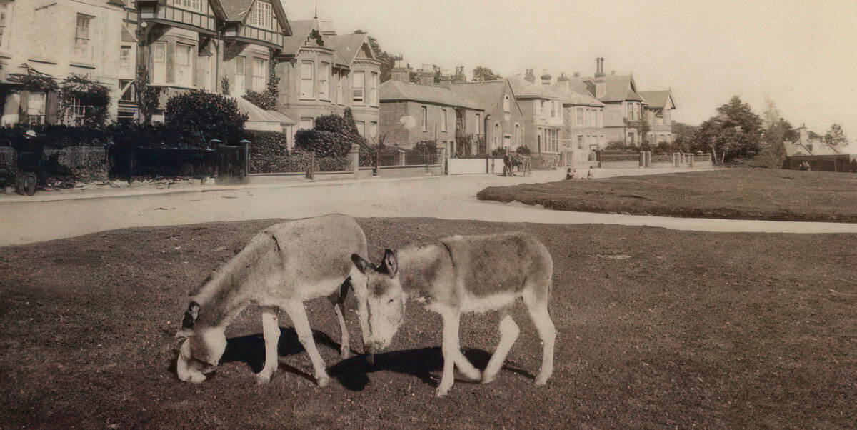 St Helens Historical Society opens free summer exhibition on Bank Holiday Monday