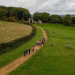 Aerial view of people taking part in the walking festival autumn
