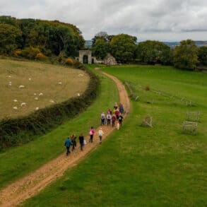 Aerial view of people taking part in the walking festival autumn