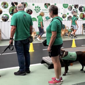 People at training session with their Ability dogs
