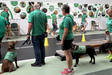 People at training session with their Ability dogs