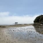Bembridge beach