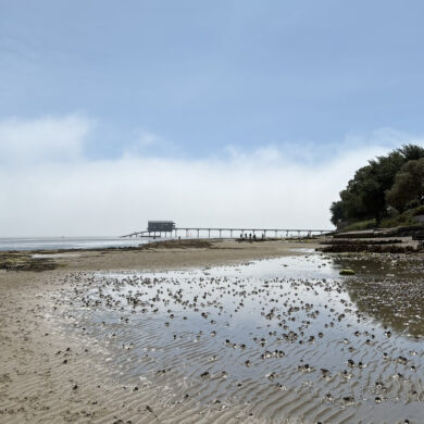Bembridge beach