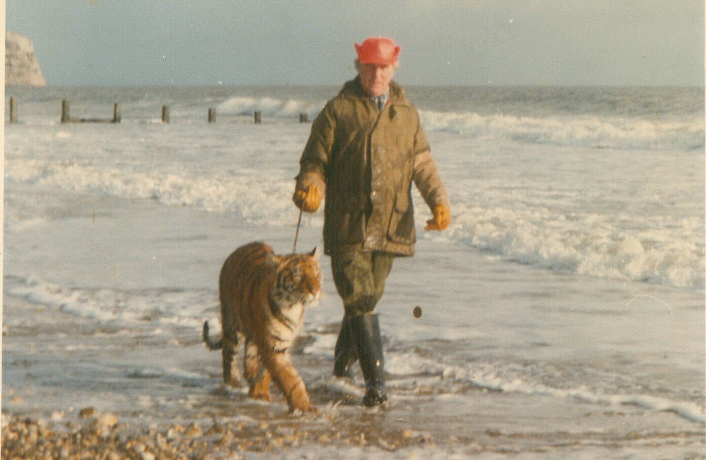 Jack walking Tamyra the tiger on beach