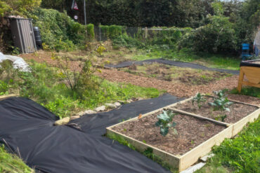 Mayfield Allotment