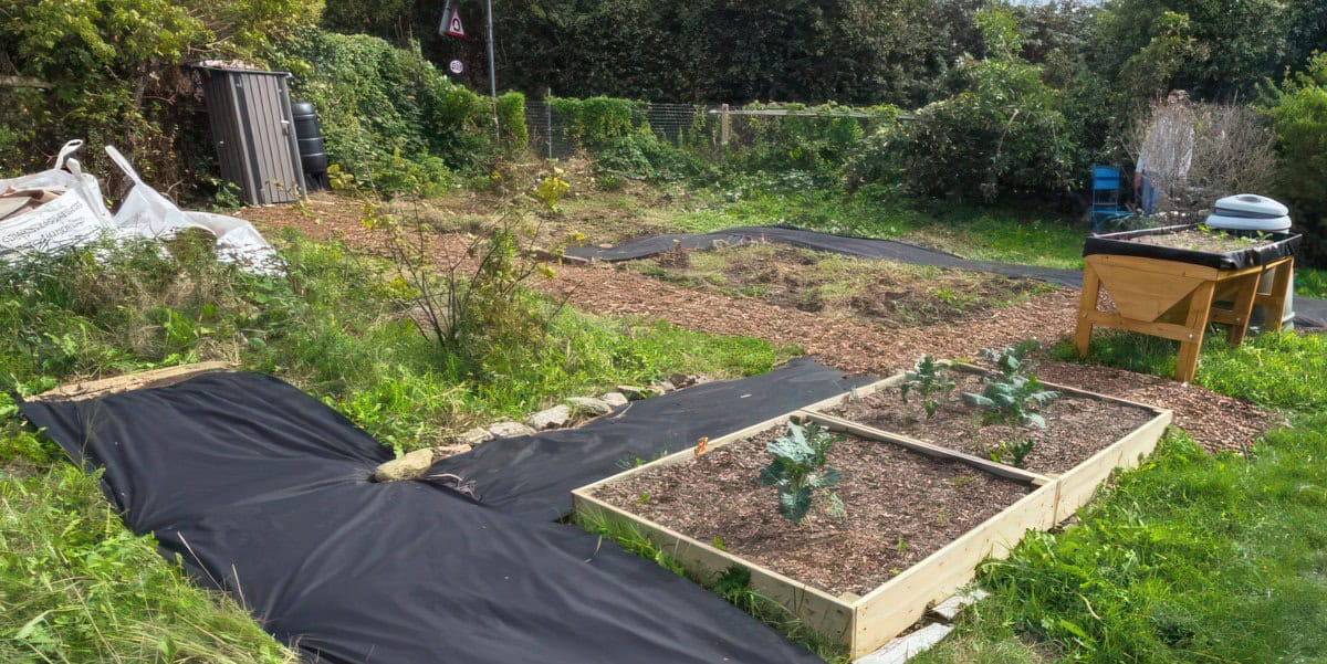 Mayfield Allotment