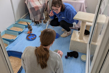 Volunteers with kittens