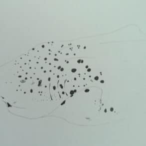 Pencil drawing of a sea creature