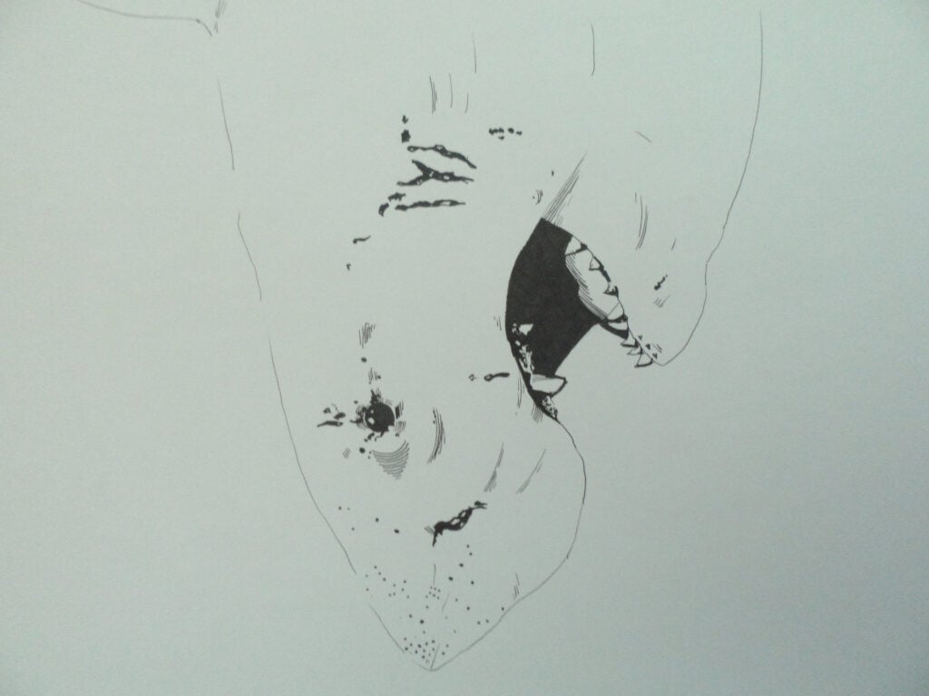 Pencil drawing of a sea creature
