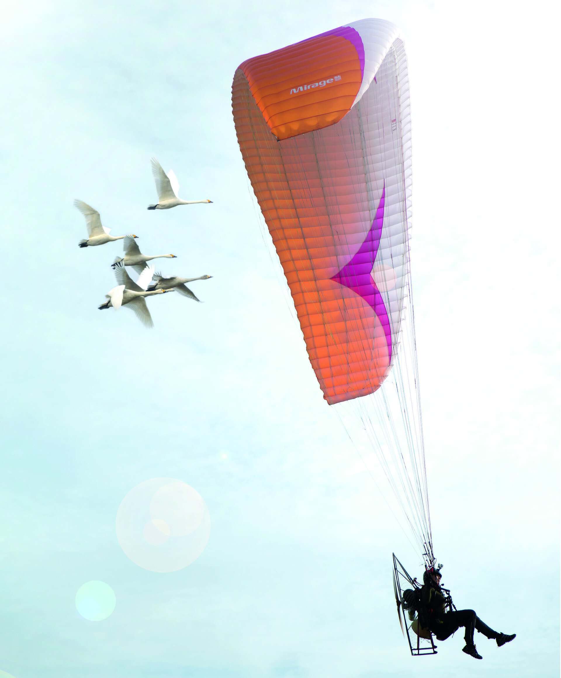 Sacha in her glider, flying with the swans