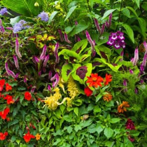 a planter filled with flowers and plants