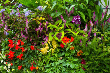 a planter filled with flowers and plants