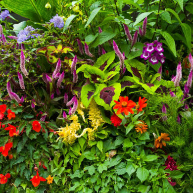 a planter filled with flowers and plants