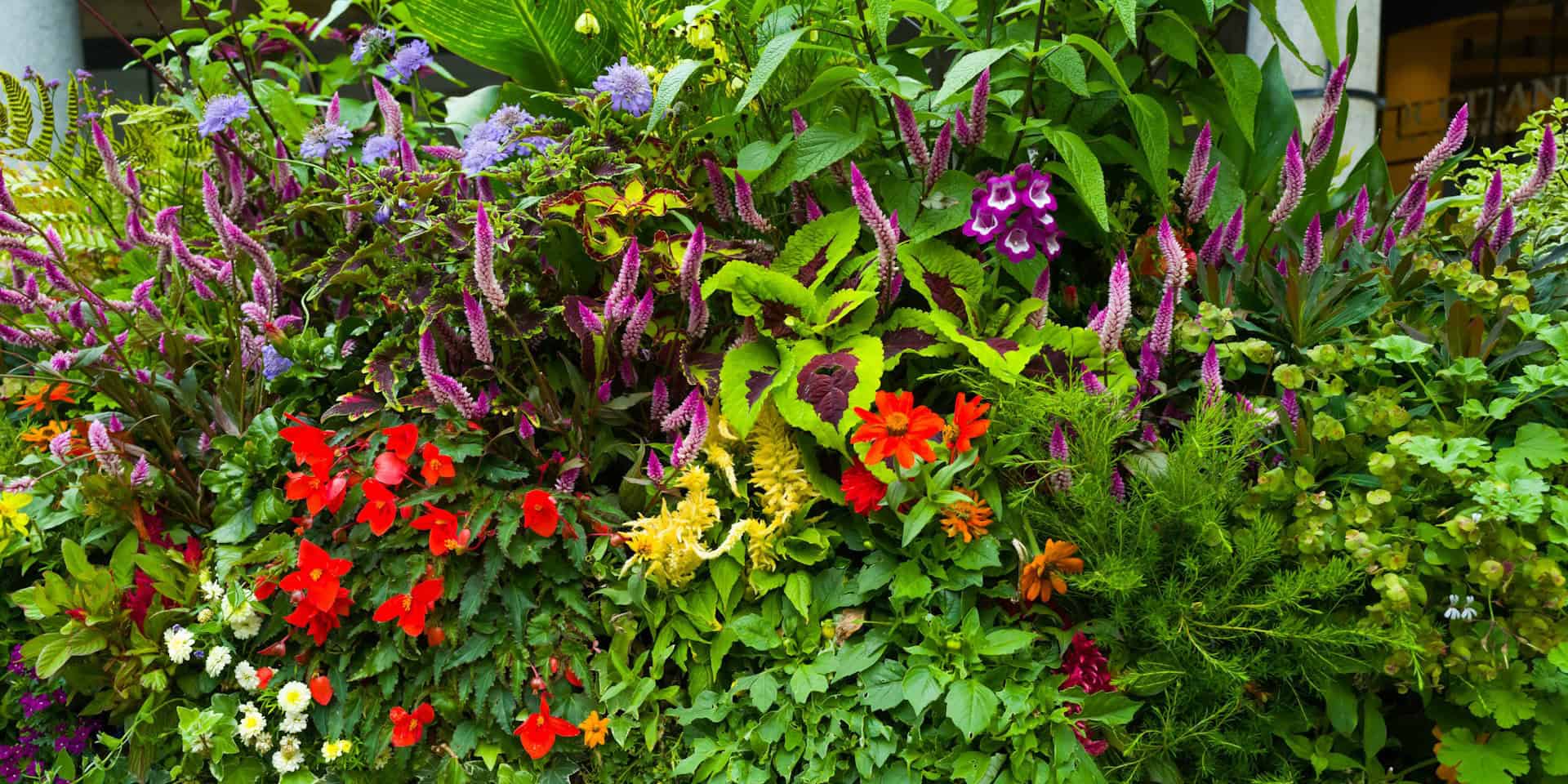 a planter filled with flowers and plants