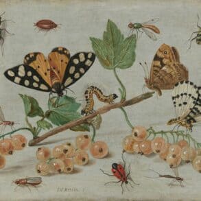 vintage illustration of insects and pollinators