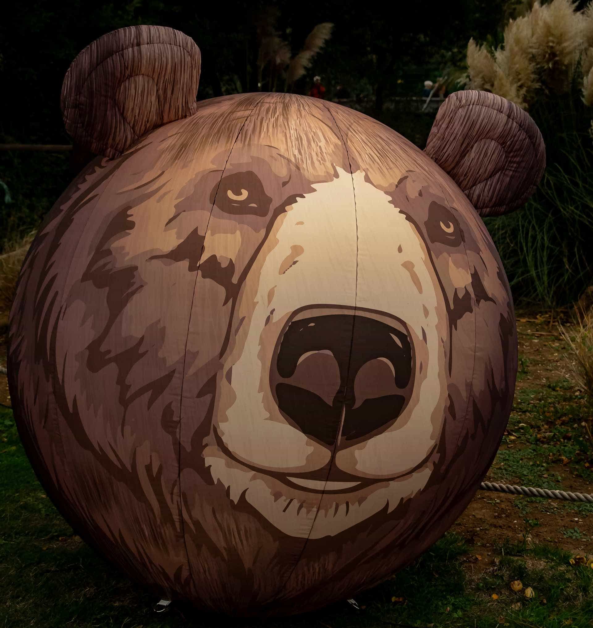 Bear Illumination - a large balon with a bear face on it illunimated from the inside