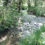 The Caul Bourne river
