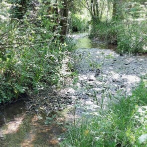 The Caul Bourne river