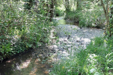The Caul Bourne river