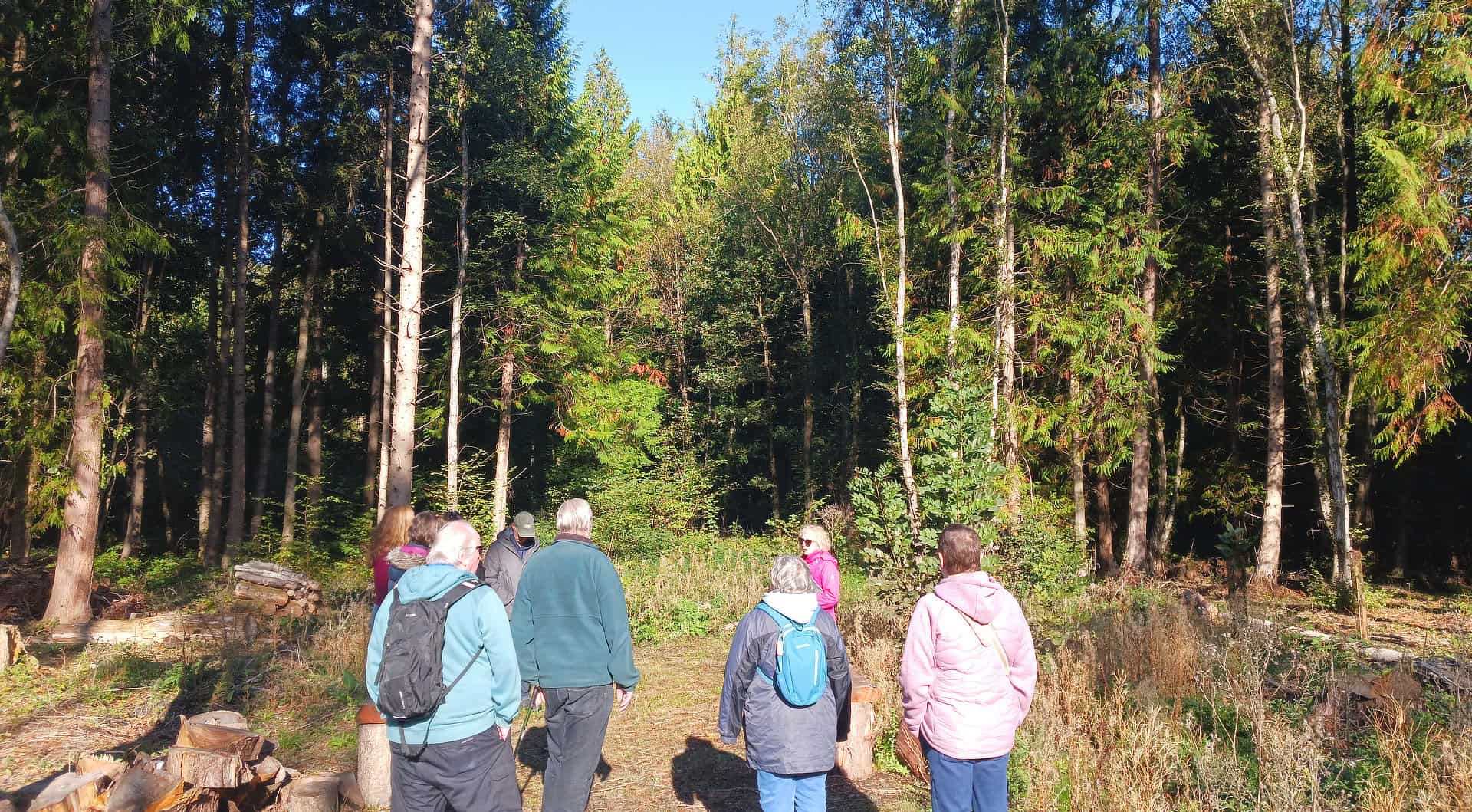 Howes Wood - public ballot group on the path with Helen Butler (woodland manager)